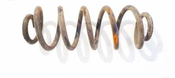 Rear coil spring