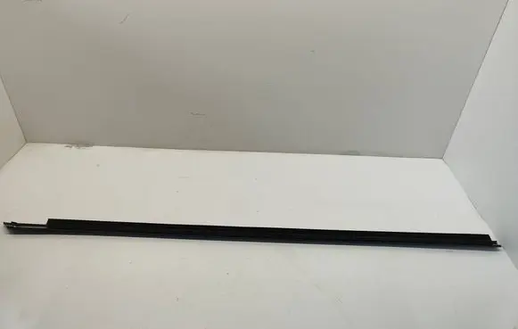 Dodge Challenger Front door glass trim molding 55399123AG
