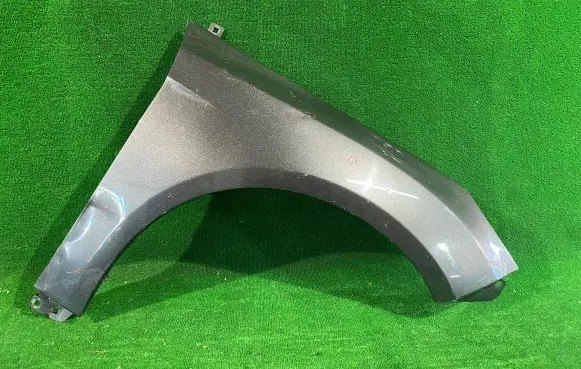Ford Focus Fender