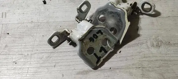 Dacia Logan II Rear door hinge set 