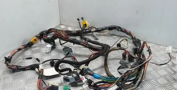 Other wiring loom