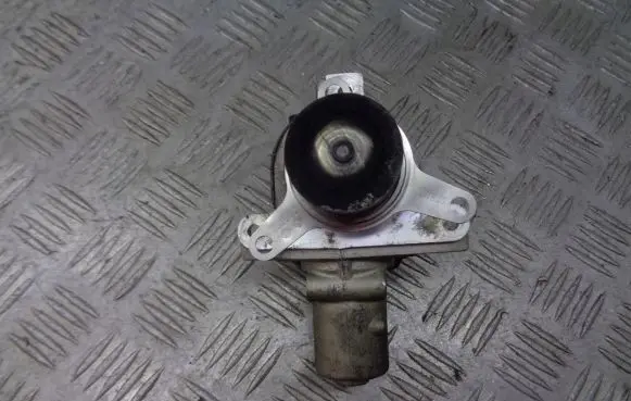 Renault Clio III EGR valve 70810159096