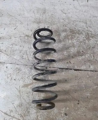 Rear coil spring