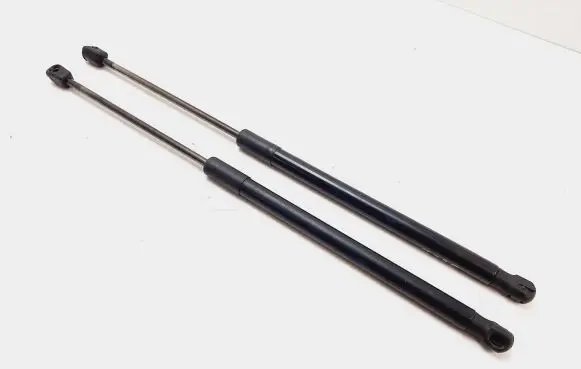 Tailgate strut