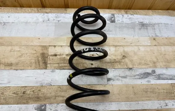 Rear coil spring