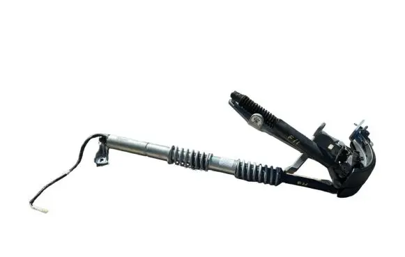 Tailgate strut