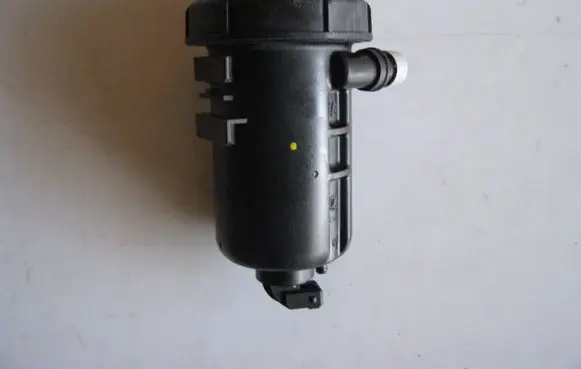 Fiat Ducato Fuel filter 1606450480