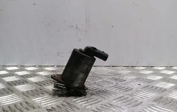 Volvo S60 EGR valve 53411462