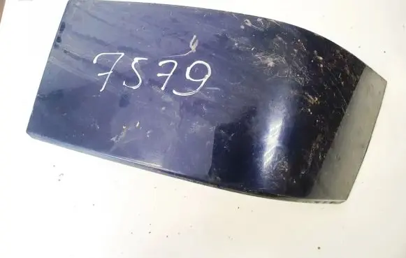 Rear/tail light trim molding