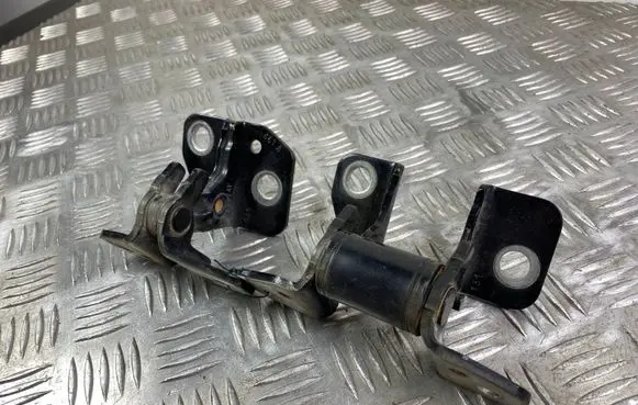 Dodge Durango Rear door hinge set 