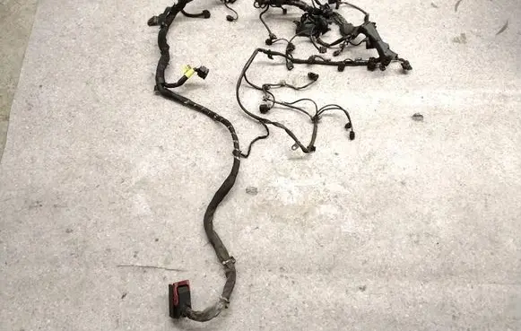 Engine installation wiring loom