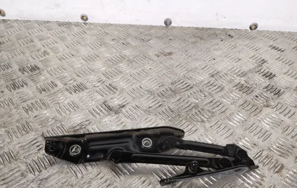 Infiniti Q50 Tailgate/trunk/boot hinge Q50DPGVYRIS