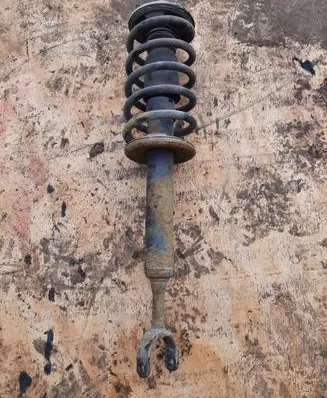 Volkswagen PASSAT B5.5 Front shock absorber with coil spring