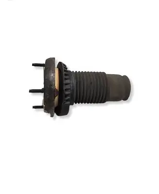 Jaguar XF X250 Rear coil spring rubber mount 1234
