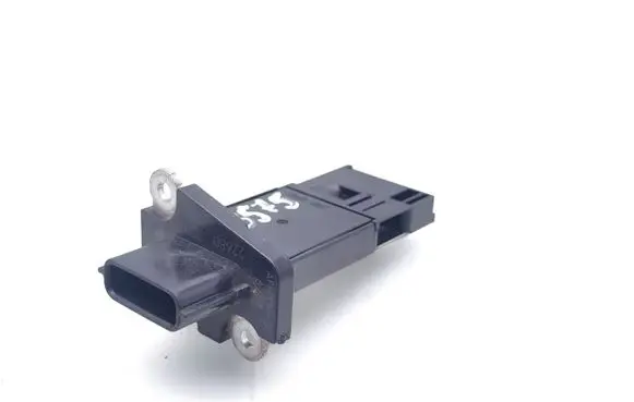 Nissan Pathfinder R51 Mass air flow meter AFH70M38