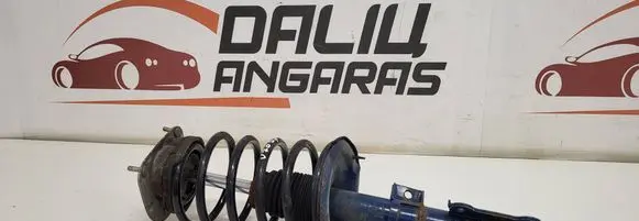 Front shock absorber with coil spring