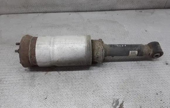 Land Rover Range Rover Sport L320 Air suspension front shock absorber 22227491