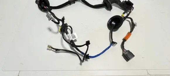 Rear door wiring loom