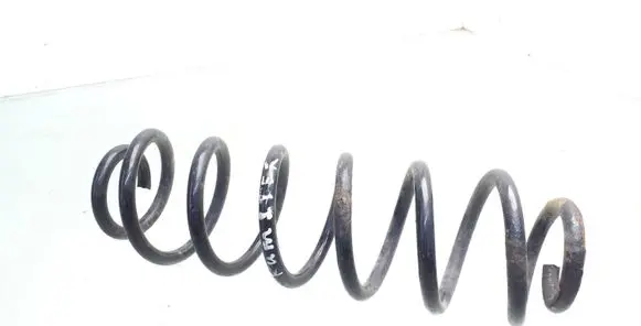 Skoda Roomster (5J) Rear coil spring