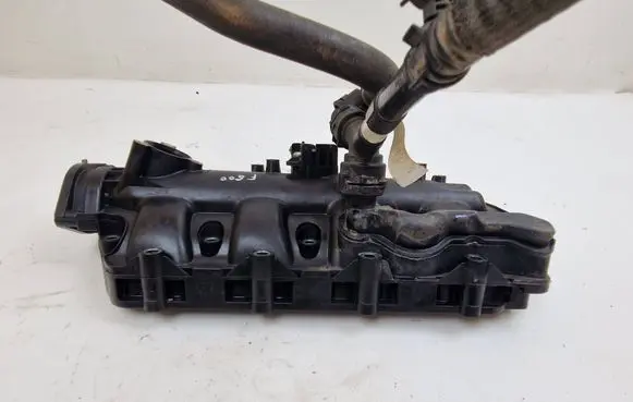 Fiat 500X Intake manifold 55258236 24650343