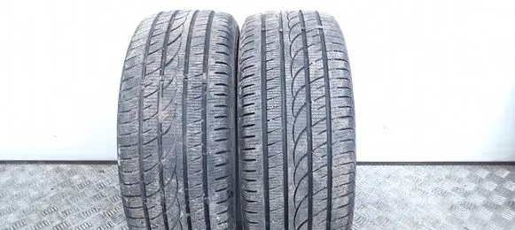 Volkswagen PASSAT B4 R15 winter tire 19555R1585H ROYALBLACK ROYALWINTER
