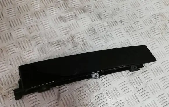 Other rear door trim element