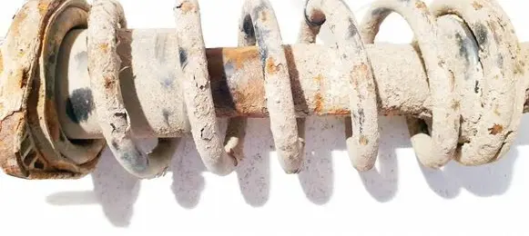 Rear coil spring