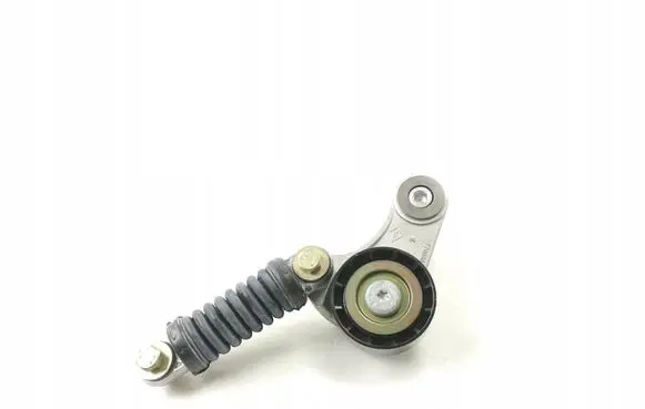 Volvo S40, V40 Timing belt tensioner 30812354