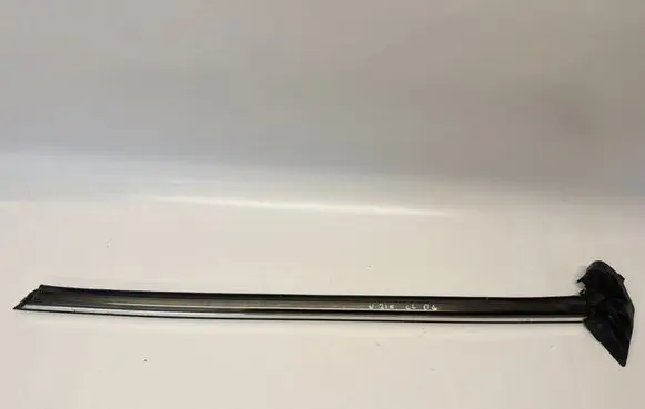 Mercedes-Benz CL C215 Rear door rubber seal (on body) A2156700438