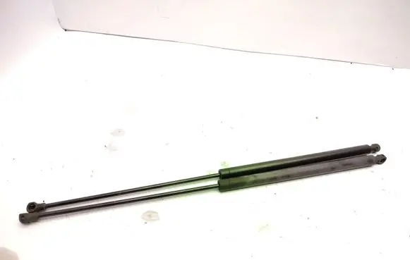 Tailgate strut