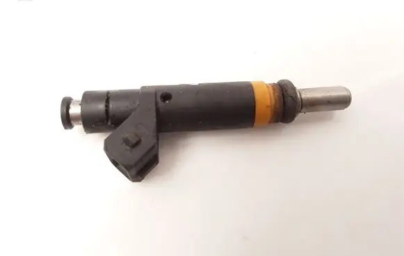 BMW 7 E65 E66 Fuel injector 7506924