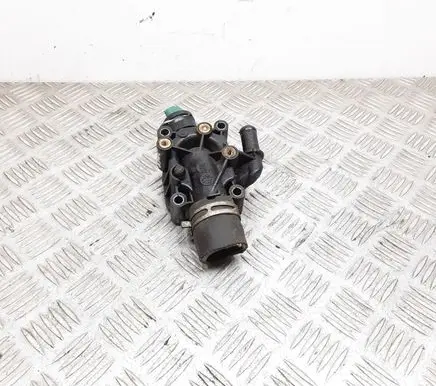 Thermostat/thermostat housing