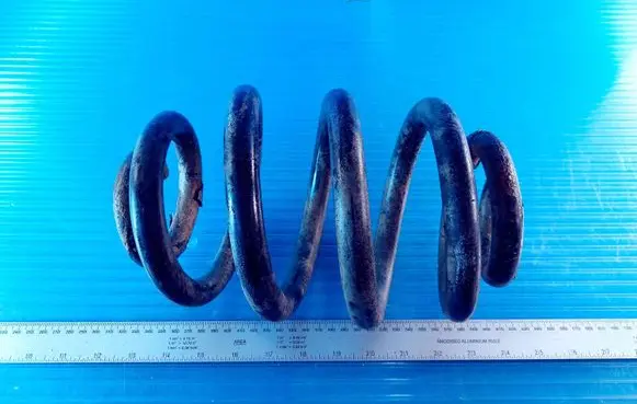 Opel Zafira A Rear coil spring