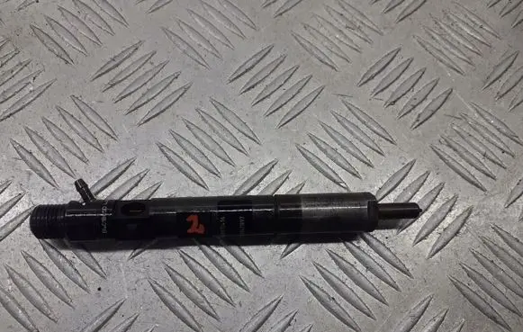 Renault Megane II Fuel injector EJBR05102D