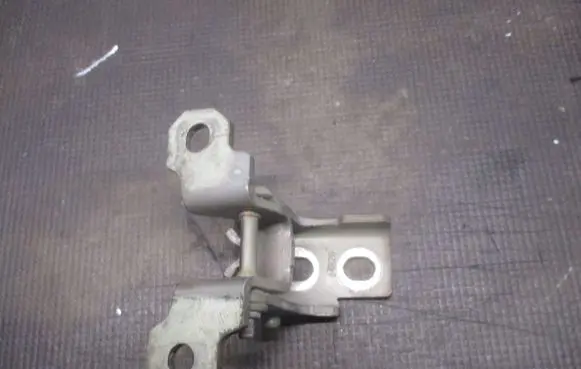 Renault Scenic III - Grand scenic III Front door lower hinge 