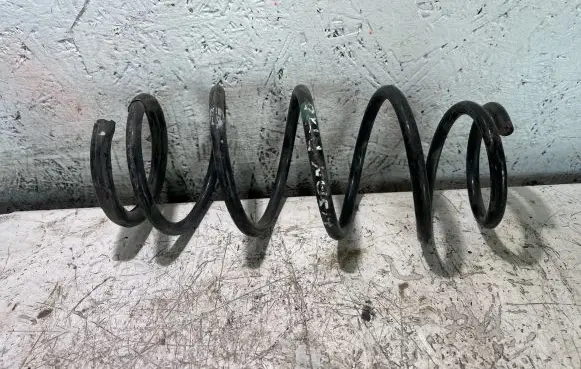 Nissan Pixo Rear coil spring