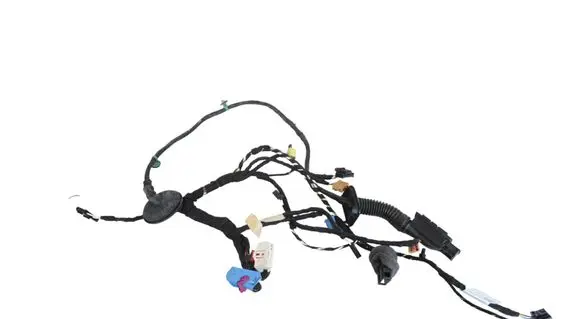 Volkswagen Golf VIII Front door wiring loom 5H4971162S