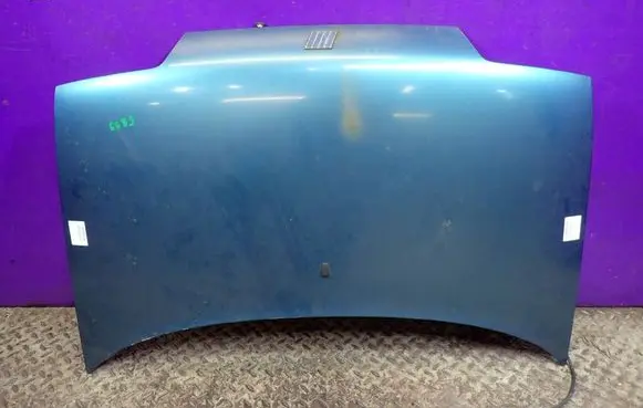Fiat 500 Cinquecento Engine bonnet/hood 