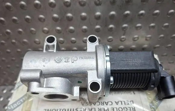EGR valve