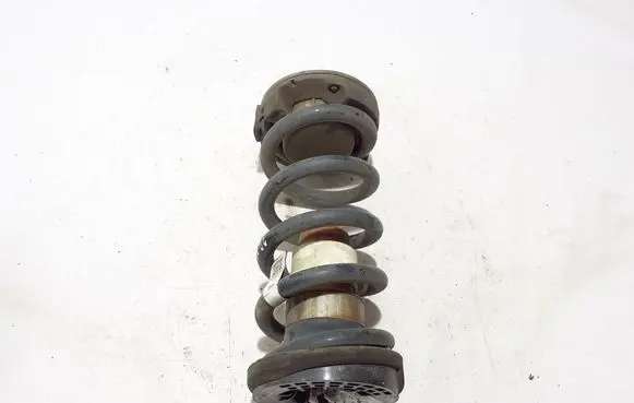 Chrysler Pacifica Rear coil spring 68237941AB