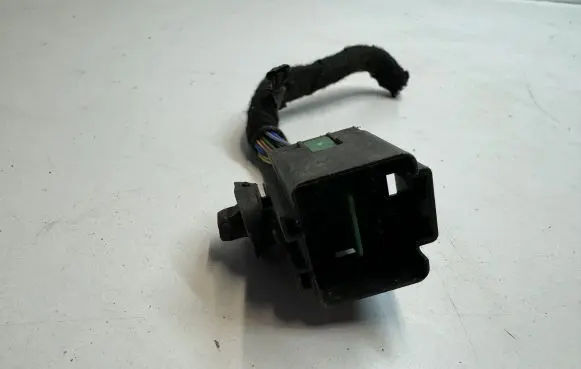 Ford Mustang VI Other wiring loom