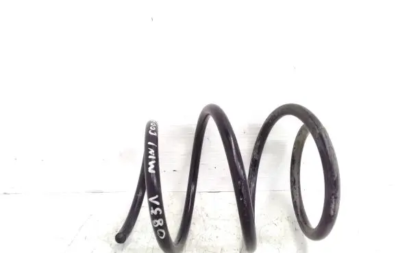 Front coil spring