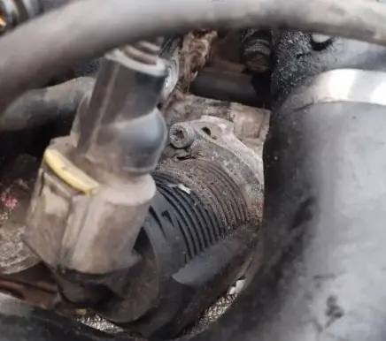 Fiat Punto (188) EGR valve