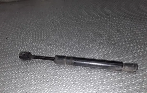 Front bonnet/hood damper/strut