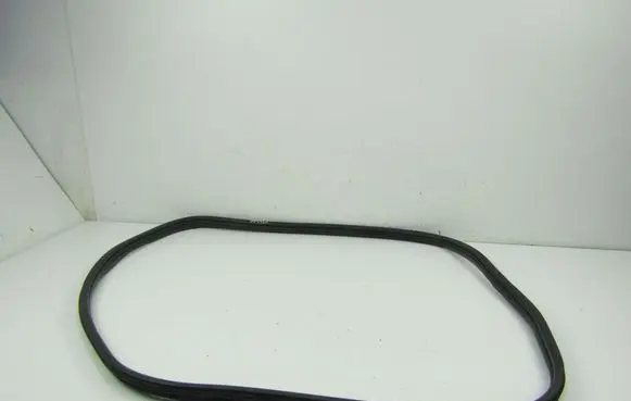 Fiat Punto (199) Front door rubber seal 