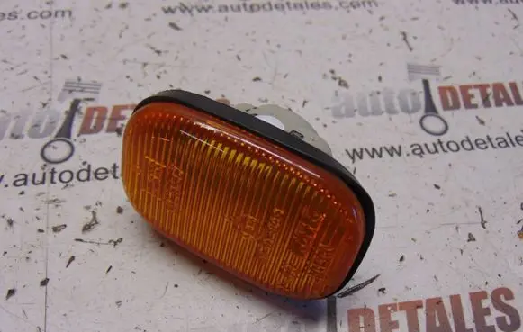 Front fender indicator light