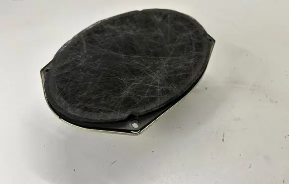 Dodge Charger Front door speaker 05091019AB