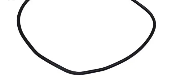 Ford Edge II Rear door rubber seal (on body) DEK3B DEK3D