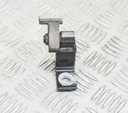 Rear door lower hinge