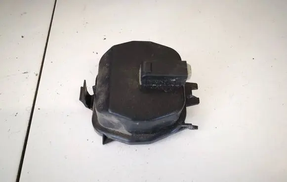 Citroen Xsara Headlight/headlamp dust cover c1134